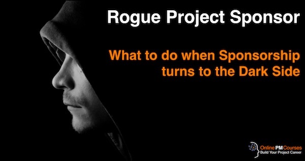Rogue Project Sponsor