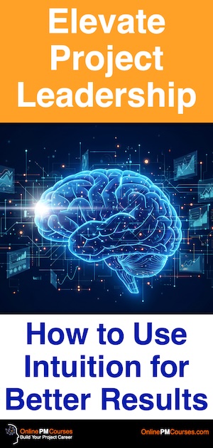 Elevate Project Leadership: How to Use Intuition for Better Results